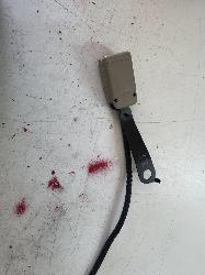 View Auto part Seatbelt/Stalk Honda Accord 2005