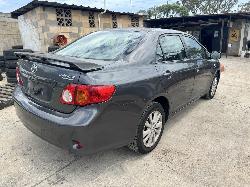View Auto part Bootlid/Tailgate Toyota Corolla 2007