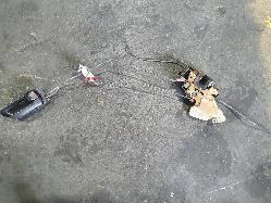 View Auto part Door/Boot/Gate Lock Subaru Impreza 2001